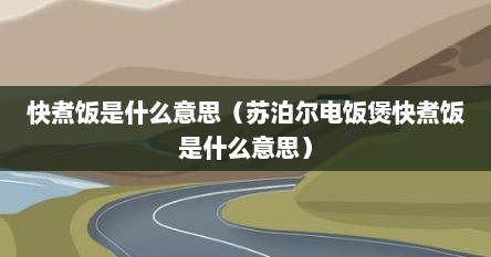 快煮饭是什么意思（苏泊尔电饭煲快煮饭是什么意思）