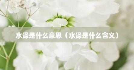 水泽是什么意思（水泽是什么含义）