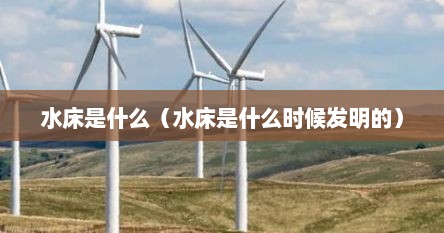 水床是什么（水床是什么时候发明的）