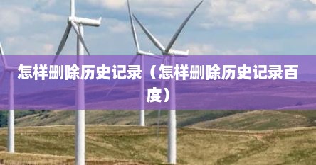 怎样删除历史记录（怎样删除历史记录百度）