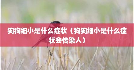 狗狗细小是什么症状（狗狗细小是什么症状会传染人）