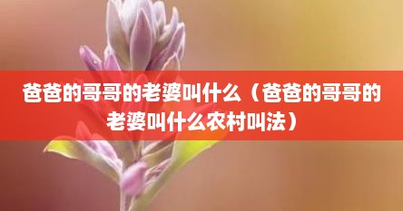 爸爸的哥哥的老婆叫什么（爸爸的哥哥的老婆叫什么农村叫法）