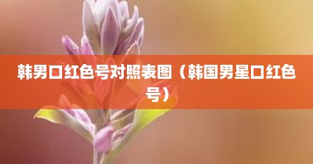 韩男口红色号对照表图（韩国男星口红色号）