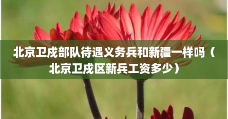 北京卫戍部队待遇义务兵和新疆一样吗（北京卫戍区新兵工资多少）