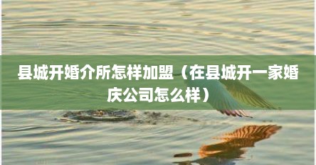 县城开婚介所怎样加盟（在县城开一家婚庆公司怎么样）