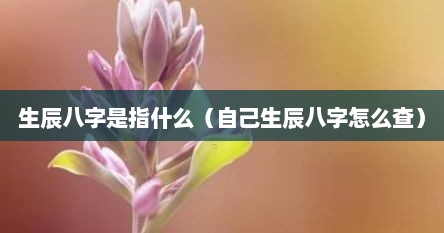 生辰八字是指什么（自己生辰八字怎么查）
