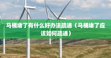 马桶堵了有什么好办法疏通(马桶堵了应该如何疏通) 马桶堵了有什么好办法疏通(马桶堵了应该如何疏通)