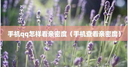 手机qq怎样看亲密度（手机查看亲密度）