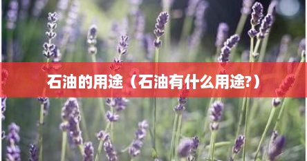 石油的用途（石油有什么用途?）