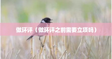 做环评（做环评之前需要立项吗）