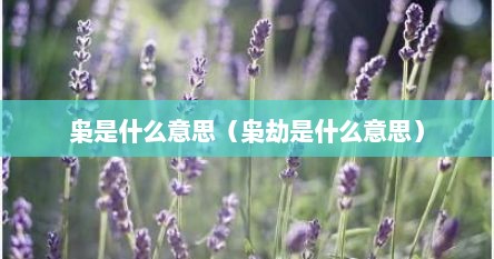 枭是什么意思（枭劫是什么意思）