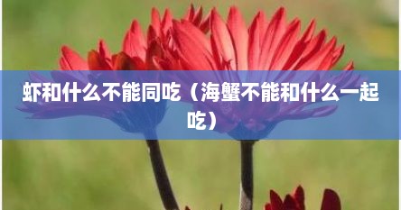 虾和什么不能同吃（海蟹不能和什么一起吃）