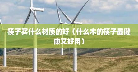 筷子买什么材质的好（什么木的筷子最健康又好用）