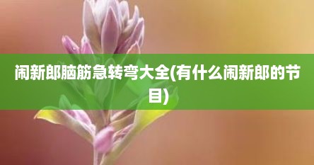 闹新郎脑筋急转弯大全(有什么闹新郎的节目)