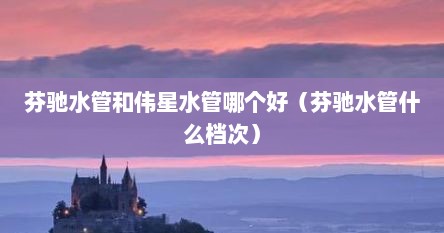 芬驰水管和伟星水管哪个好（芬驰水管什么档次）