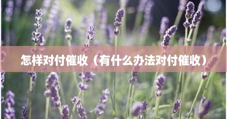 怎样对付催收（有什么办法对付催收）