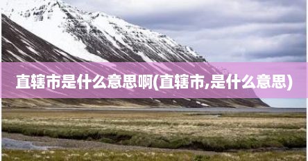 直辖市是什么意思啊(直辖市,是什么意思)