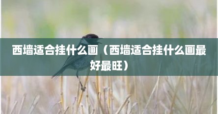 西墙适合挂什么画（西墙适合挂什么画最好最旺）