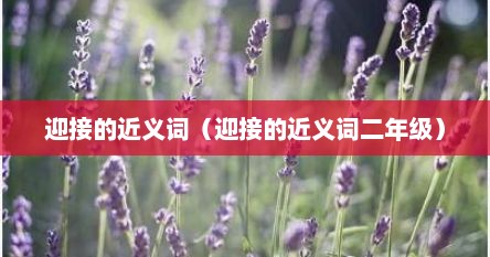 迎接的近义词（迎接的近义词二年级）