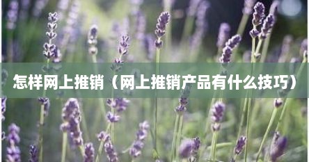 怎样网上推销（网上推销产品有什么技巧）
