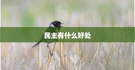 民主有什么好处