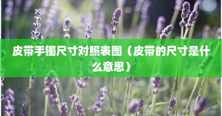 皮带手镯尺寸对照表图（皮带的尺寸是什么意思）