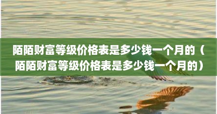 陌陌财富等级价格表是多少钱一个月的（陌陌财富等级价格表是多少钱一个月的）