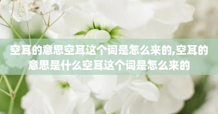 空耳的意思空耳这个词是怎么来的,空耳的意思是什么空耳这个词是怎么来的
