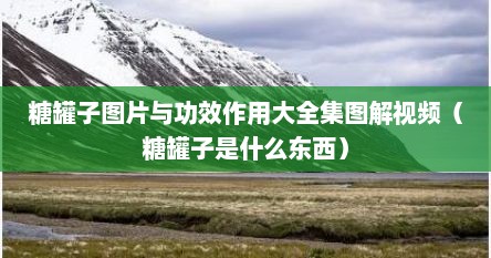 糖罐子图片与功效作用大全集图解视频（糖罐子是什么东西）