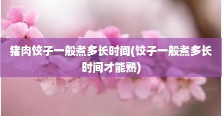 猪肉饺子一般煮多长时间(饺子一般煮多长时间才能熟)
