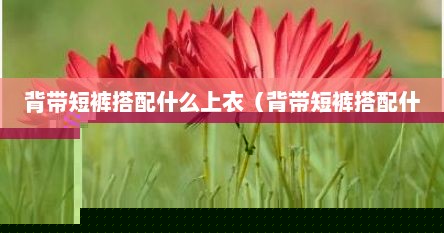 背带短裤搭配什么上衣（背带短裤搭配什么上衣好看）