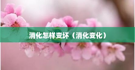 消化怎样变坏（消化变化）