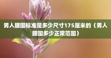 男人腰围标准是多少尺寸175厘米的（男人腰围多少正常范围）