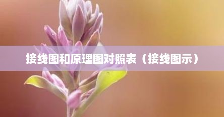 接线图和原理图对照表（接线图示）