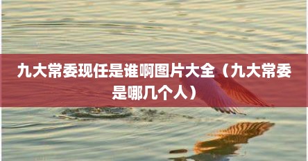 九大常委现任是谁啊图片大全（九大常委是哪几个人）