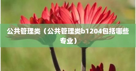 公共管理专业可以报1204的岗吗（公共管理b类考研）