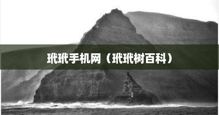 玳玳手机网（玳玳树百科）