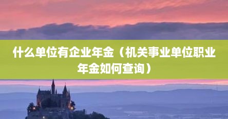 什么单位有企业年金（机关事业单位职业年金如何查询）