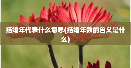 结婚年代表什么意思(结婚年数的含义是什么)