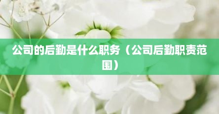 公司后勤的是什么职位（公司后勤是干啥的）