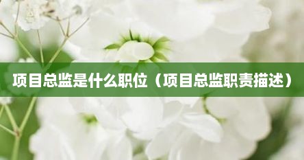 项目总监是什么职位（项目总监职责描述）