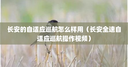 长安的自适应巡航怎么样用（长安全速自适应巡航操作视频）