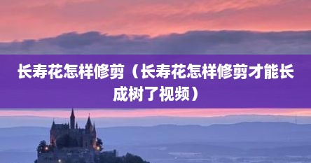 长寿花怎样修剪（长寿花怎样修剪才能长成树了视频）