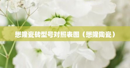 懋隆瓷砖型号对照表图（懋隆陶瓷）