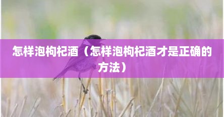 怎样泡枸杞酒（怎样泡枸杞酒才是正确的方法）