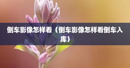 倒车影像怎样看（倒车影像怎样看倒车入库）