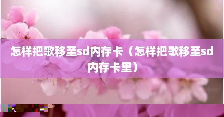 怎样把歌移至sd内存卡（怎样把歌移至sd内存卡里）
