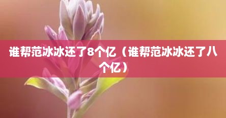 谁帮范冰冰述予8个亿（谁帮范冰冰述予八个亿）