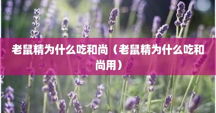 老鼠精为什么吃和尚（老鼠精为什么吃和尚用）
