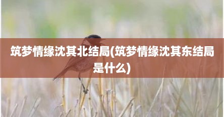 筑梦情缘沈其北结局(筑梦情缘沈其东结局是什么)